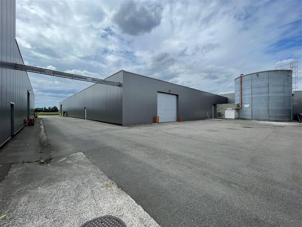 Industrie te huur in Waregem 8790 11133.00€ slaapkamers 3817.00m² - Zoekertje 92445