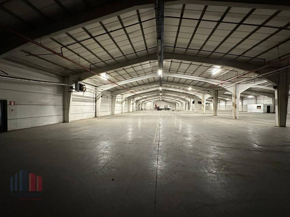 Handelszaak te huur in Waregem 8790 2333.00€ slaapkamers 1000.00m² - Zoekertje 242203