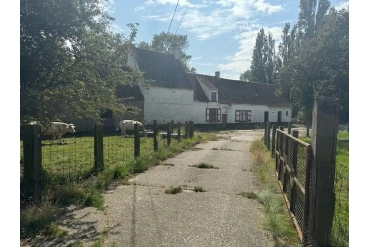 Boerderij te  koop in Koolkerke 8000 495000.00€  slaapkamers m² - Zoekertje 452335