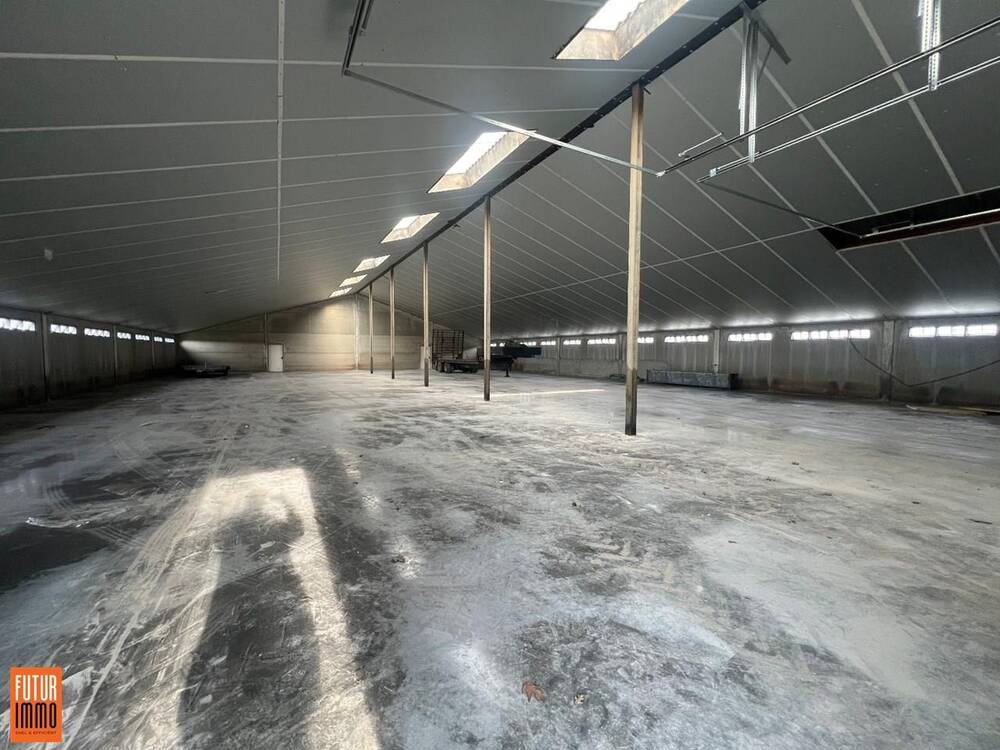 Handelszaak te  huur in Ruddervoorde 8020 1650.00€  slaapkamers m² - Zoekertje 397699