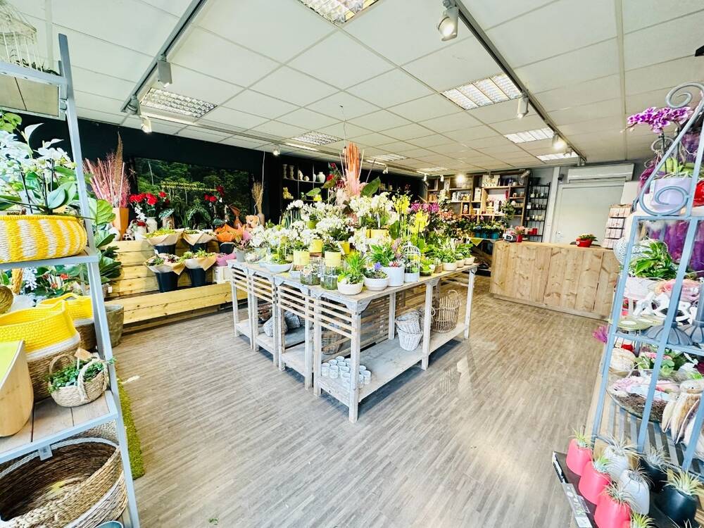 Handelszaak te koop in Wervik 8940 99000.00€ 0 slaapkamers 95.00m² - Zoekertje 398610