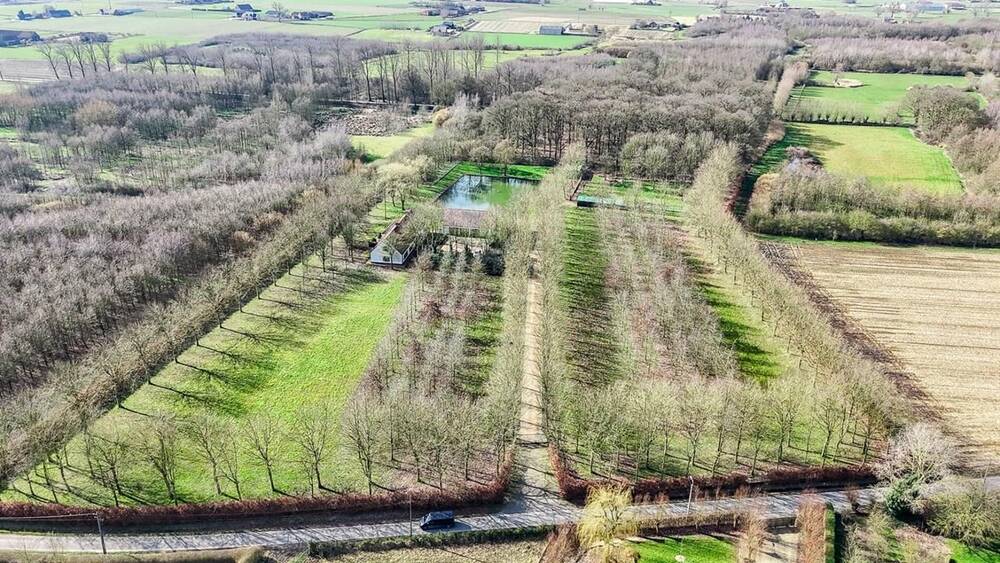 Huis te  koop in Dentergem 8720 1175000.00€ 4 slaapkamers 428.00m² - Zoekertje 418730