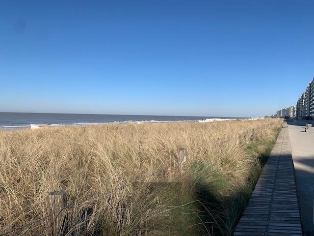Appartement te koop in Westende 8434 189000.00€ 1 slaapkamers 59.00m² - Zoekertje 422074