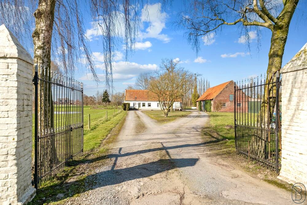 Huis te koop in Sint-Baafs-Vijve 8710 695000.00€ 3 slaapkamers 500.00m² - Zoekertje 434295