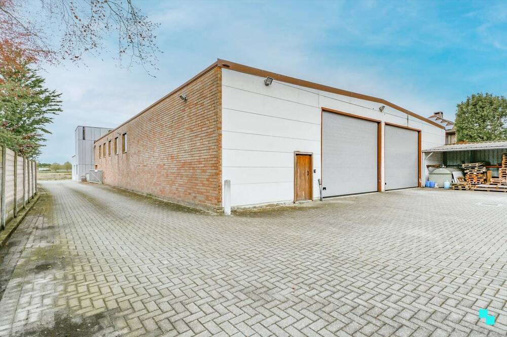 Handelszaak te  huur in Sint-Eloois-Winkel 8880 3000.00€  slaapkamers m² - Zoekertje 438183