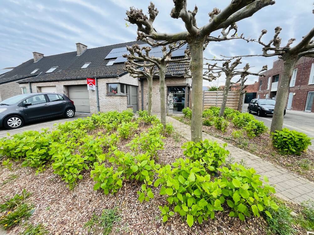 Huis te  huur in Geluwe 8940 985.00€ 3 slaapkamers 206.00m² - Zoekertje 451417
