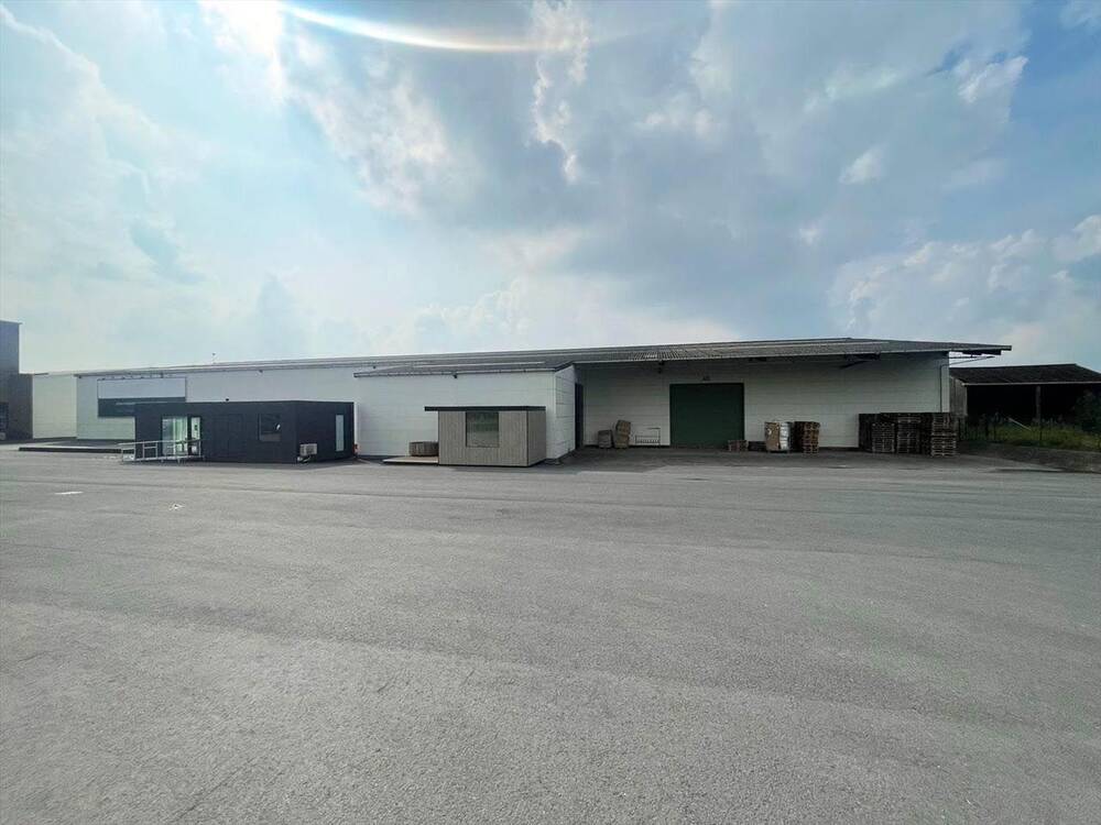 Handelszaak te  huur in Pittem 8740 32250.00€  slaapkamers 9675.00m² - Zoekertje 458319