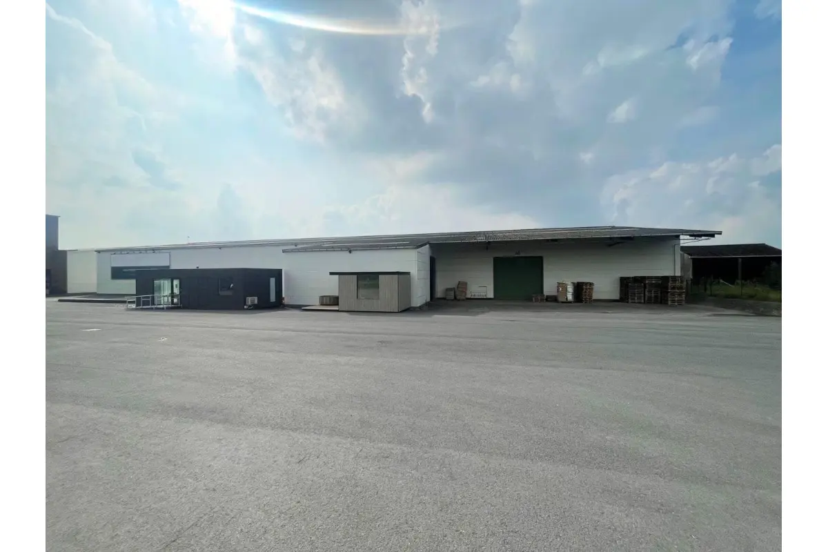 Handelszaak te  huur in Pittem 8740 32250.00€  slaapkamers 9675.00m² - Zoekertje 458319