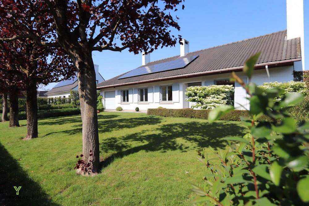 Huis te huur in Zwevegem 8550 1150.00€ 4 slaapkamers 237.00m² - Zoekertje 462726
