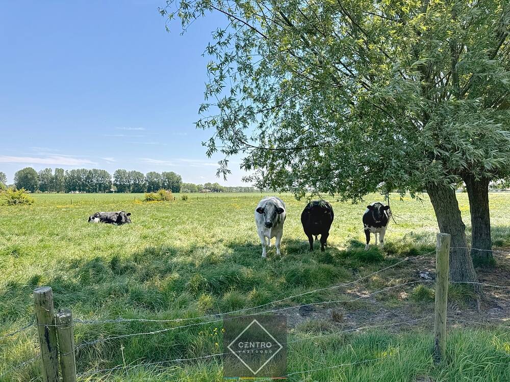 Huis te koop in Lissewege 8380 695000.00€ 5 slaapkamers 220.00m² - Zoekertje 486328