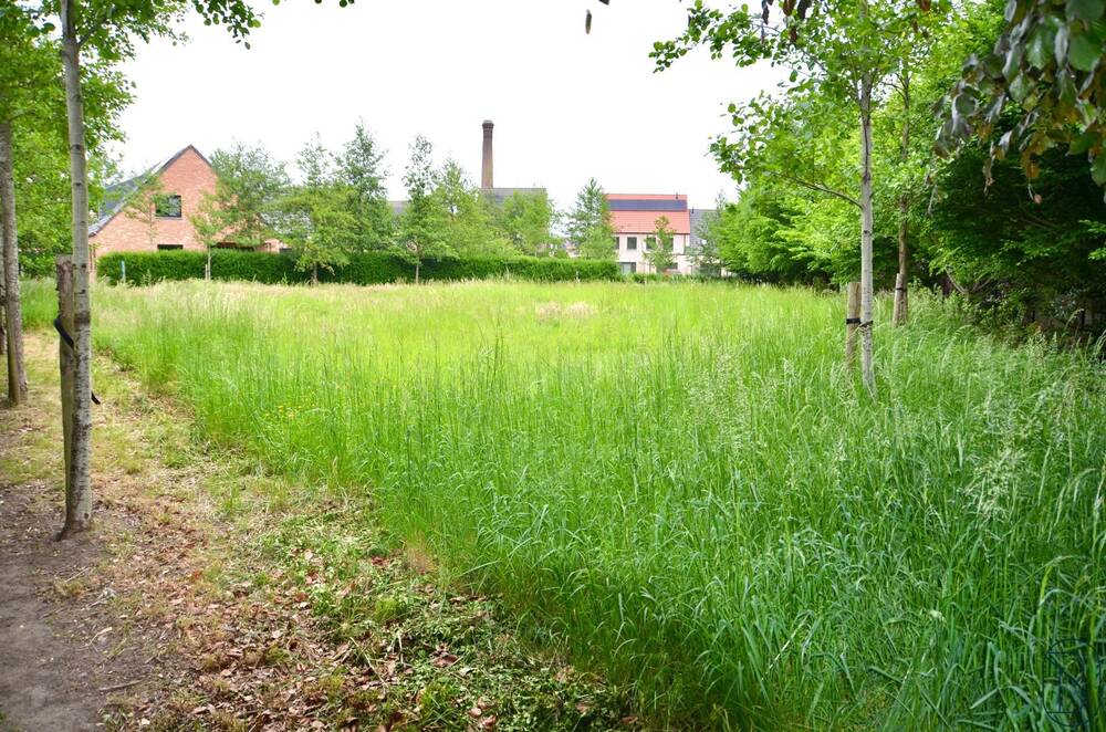 Grond te koop in Avelgem 8580 220000.00€ slaapkamers m² - Zoekertje 505245