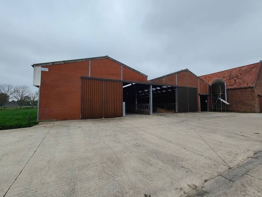 Handelszaak te huur in Diksmuide 8600 2000.00€ slaapkamers 1000.00m² - Zoekertje 496427