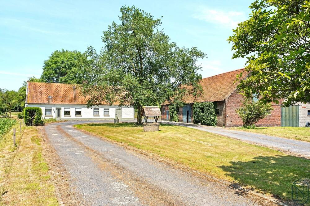Huis te koop in Sint-Baafs-Vijve 8710 635000.00€ 3 slaapkamers 500.00m² - Zoekertje 494408