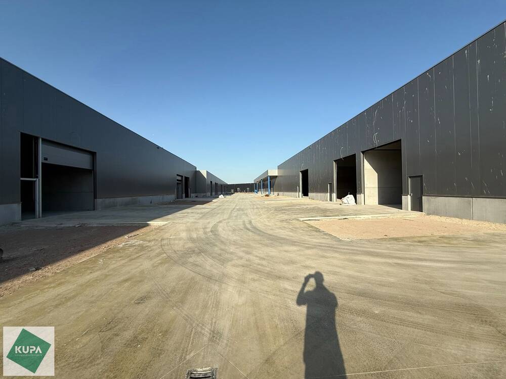Handelszaak te koop in Brugge 8000 343529.85€ slaapkamers 210.11m² - Zoekertje 531098