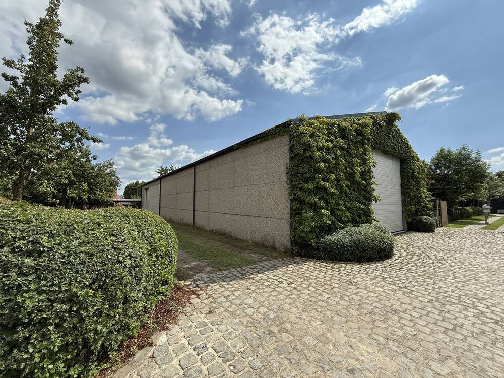 Handelszaak te  huur in Dentergem 8720 900.00€  slaapkamers 420.00m² - Zoekertje 532242