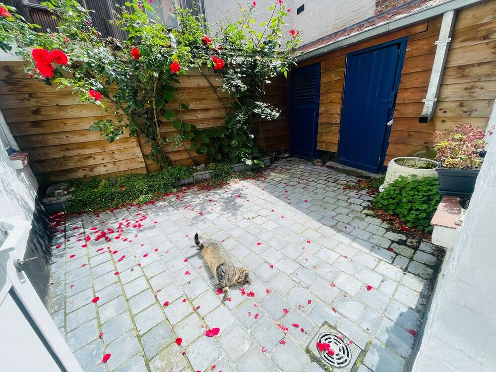 Huis te  koop in Brugge 8000 275000.00€ 2 slaapkamers 116.00m² - Zoekertje 539626