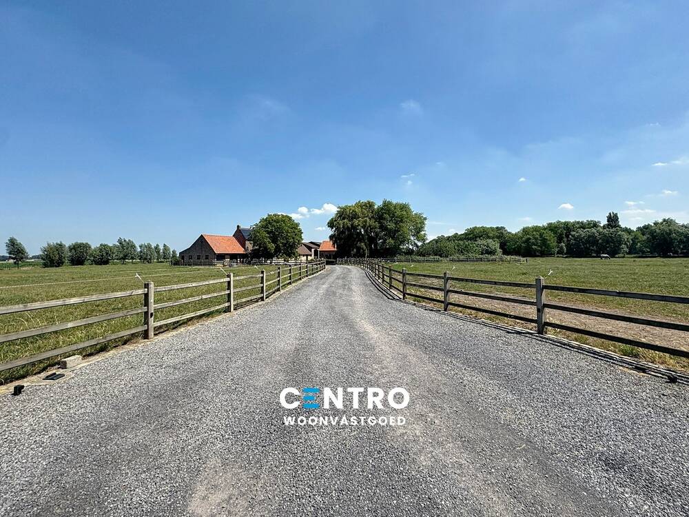 Bungalow te  huur in Zuienkerke 8377 2500.00€ 4 slaapkamers 302.00m² - Zoekertje 543858