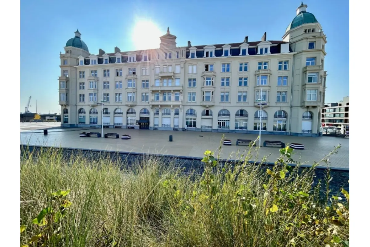 Handelszaak te  koop in Zeebrugge 8380 375000.00€  slaapkamers 238.00m² - Zoekertje 547744