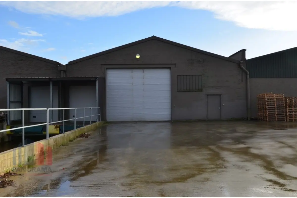 Handelszaak te  huur in Oostkamp 8020 3000.00€  slaapkamers 1125.00m² - Zoekertje 608843