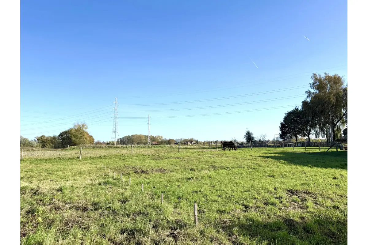 Grond te  koop in Avelgem 8580 175000.00€  slaapkamers m² - Zoekertje 617238