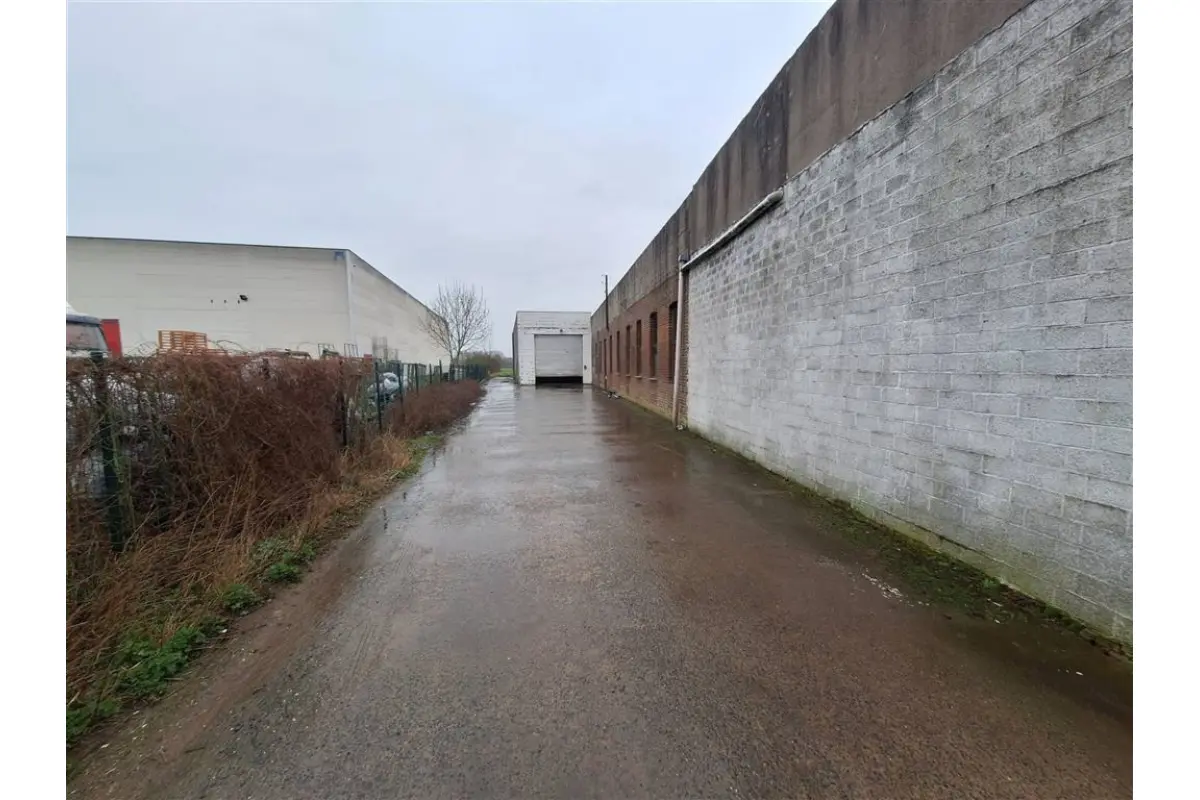 Handelszaak te  huur in Heule 8501 1000.00€  slaapkamers m² - Zoekertje 619013