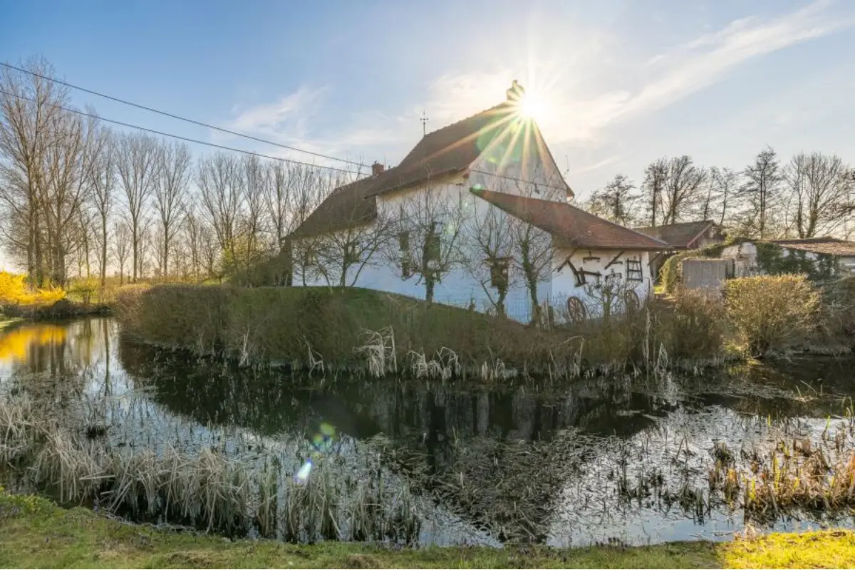 Handelszaak te  koop in Avelgem 8580 450000.00€ 4 slaapkamers m² - Zoekertje 634158