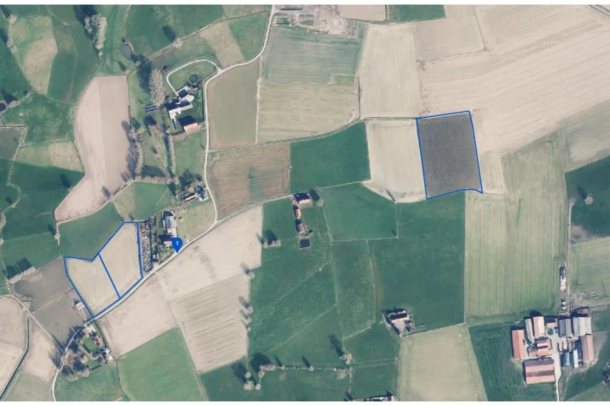 Grond te  koop in Aarsele 8700 322625.00€  slaapkamers m² - Zoekertje 641904