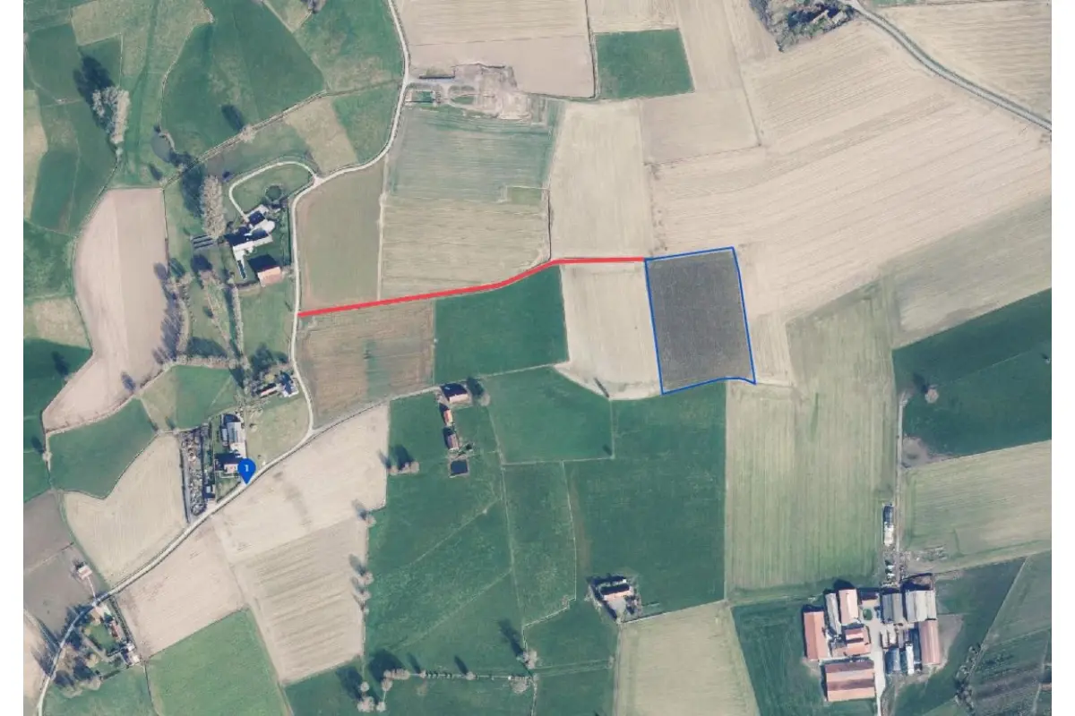 Grond te  koop in Aarsele 8700 163375.00€  slaapkamers m² - Zoekertje 641903