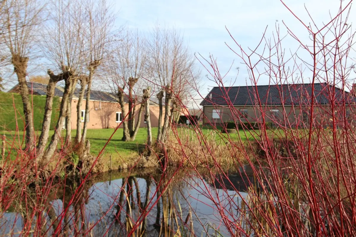 Huis te  koop in Oedelem 8730 890000.00€ 3 slaapkamers 378.00m² - Zoekertje 652979