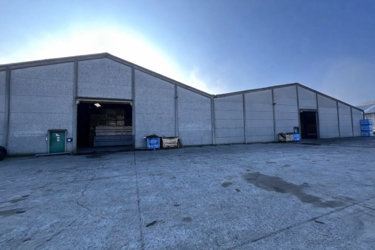 Handelszaak te  huur in Bavikhove 8531 11000.00€ 0 slaapkamers m² - Zoekertje 712803