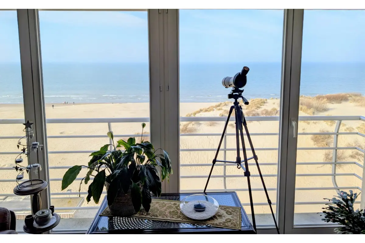 Penthouse te  koop in Koksijde 8670 0.00€ 2 slaapkamers 158.00m² - Zoekertje 714742