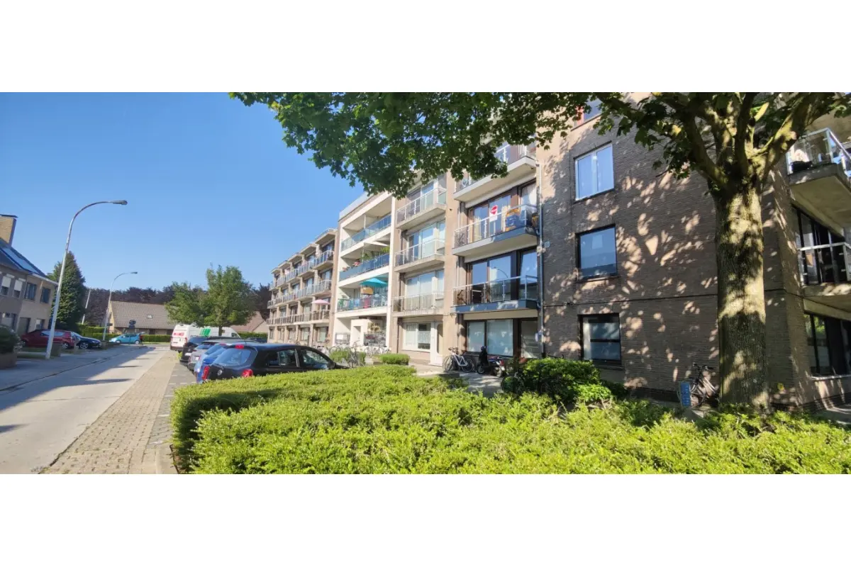 Appartement te  huur in Sint-Andries 8200 795.00€ 2 slaapkamers 74.00m² - Zoekertje 733871