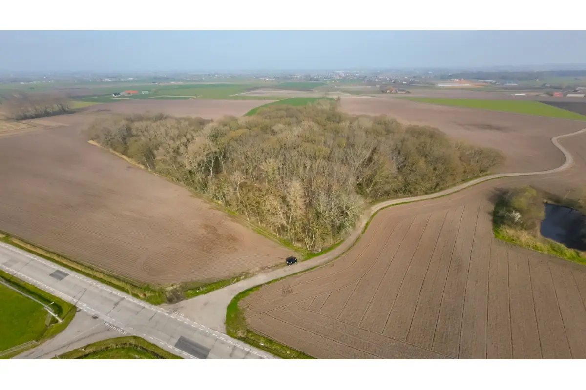 Grond te  koop in Diksmuide 8600 200000.00€  slaapkamers m² - Zoekertje 735597