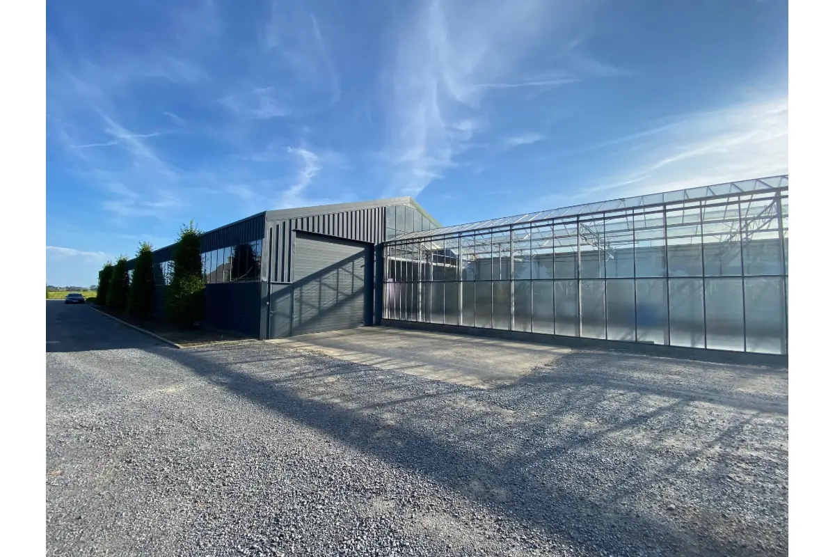 Handelszaak te  huur in Pittem 8740 1000.00€ 0 slaapkamers 595.00m² - Zoekertje 742541