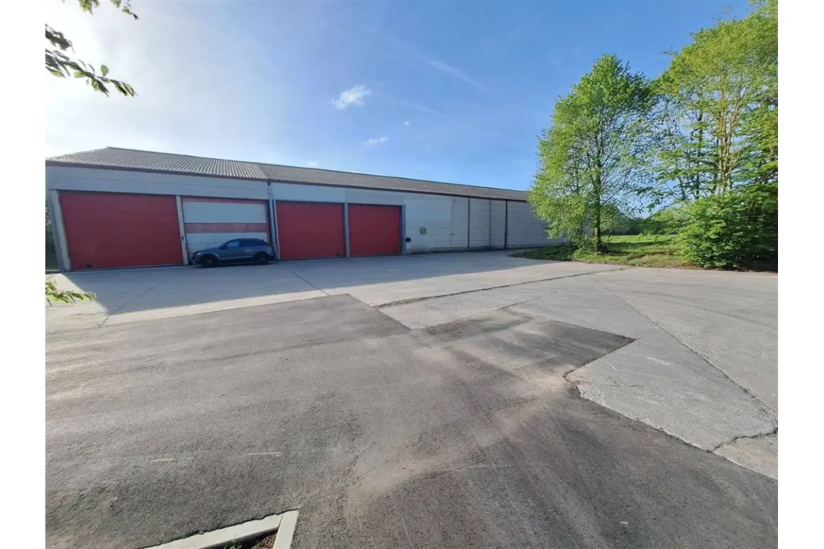 Handelszaak te  huur in Bellegem 8510 550.00€  slaapkamers m² - Zoekertje 745548