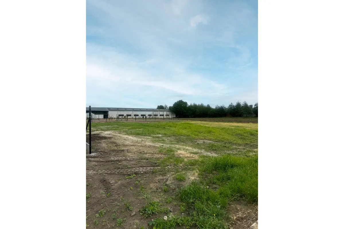 Bouwgrond te  koop in Wingene 8750 218000.00€  slaapkamers m² - Zoekertje 765420