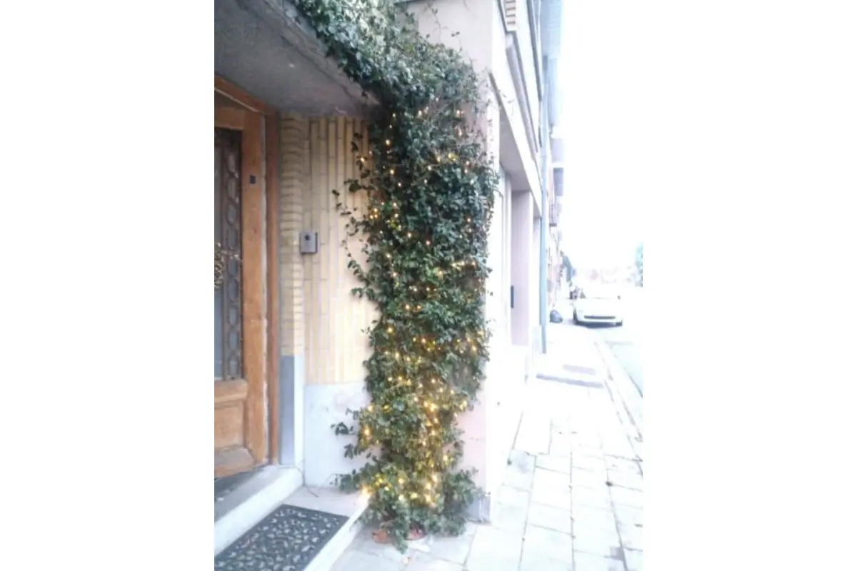 Herenhuis te  koop in Bissegem 8501 339500.00€ 5 slaapkamers 380.00m² - Zoekertje 777757