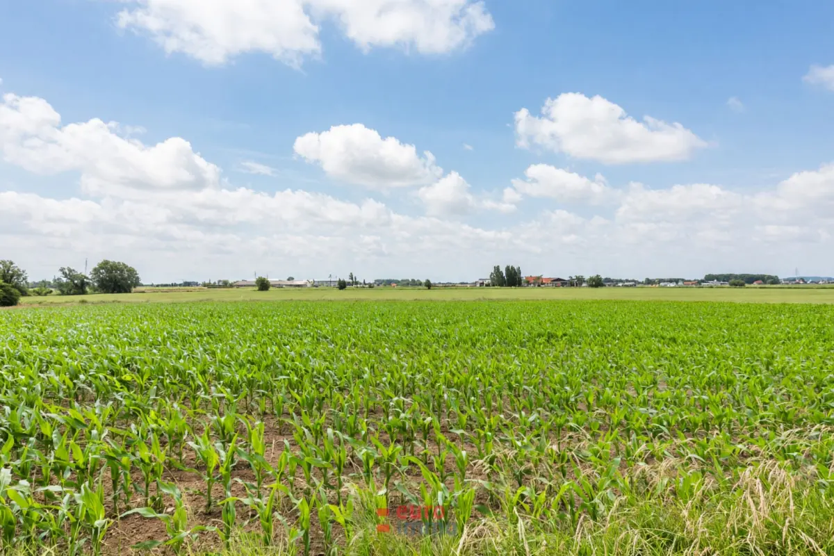 Bouwgrond te  koop in Ieper 8900 390000.00€  slaapkamers m² - Zoekertje 786260