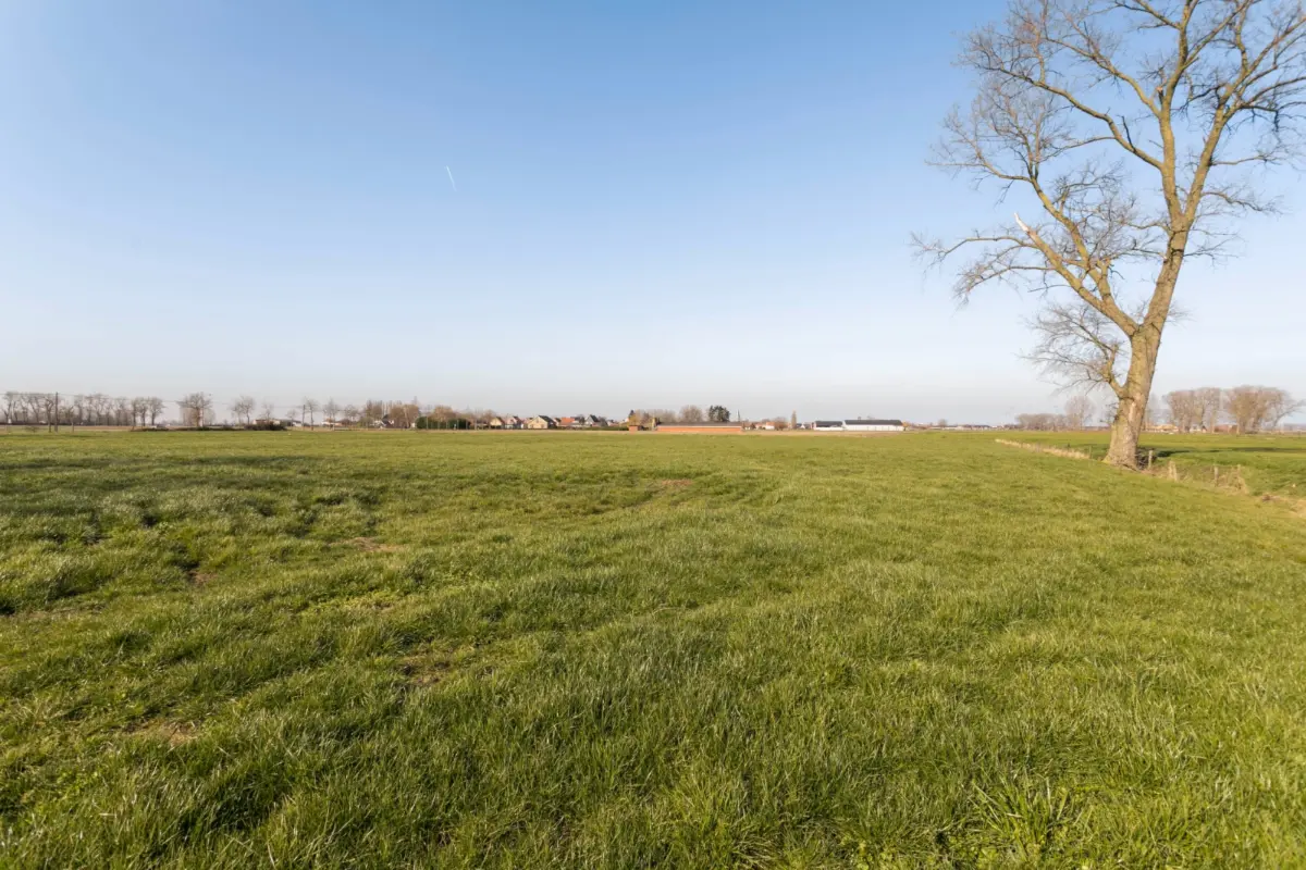 Grond te  koop in Diksmuide 8600 95000.00€  slaapkamers m² - Zoekertje 798162