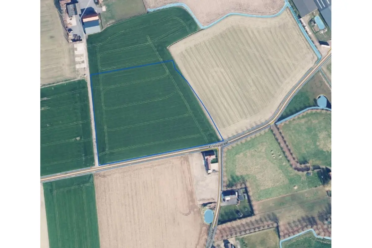 Niet bebouwbare grond te  koop in Pittem 8740 275000.00€  slaapkamers m² - Zoekertje 816139